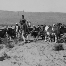 475727_3065327923892_923041354_o