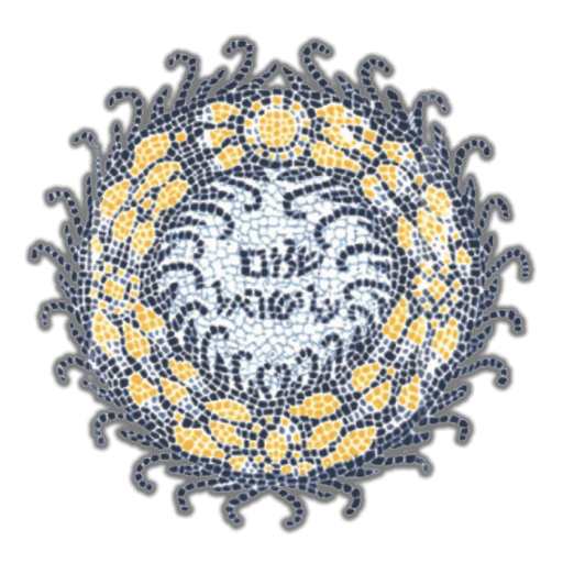 أخبار البلد